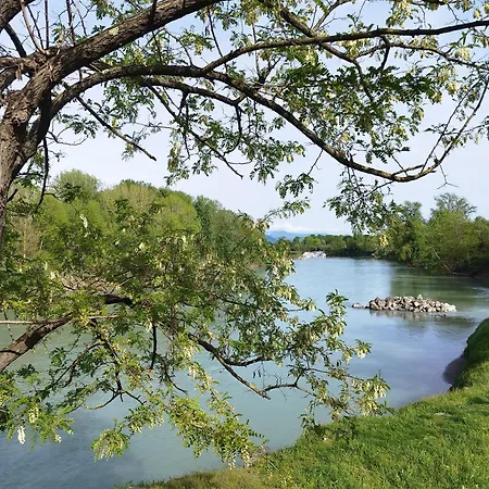 Anthemis ホームステイ *