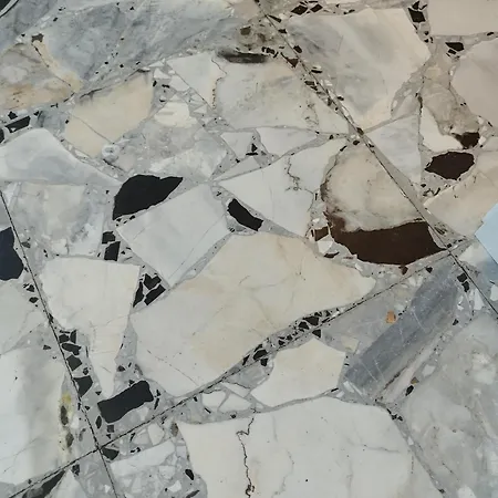 Anthemis Romito Magra